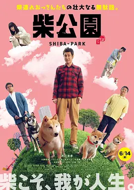 哑剧猫完整版