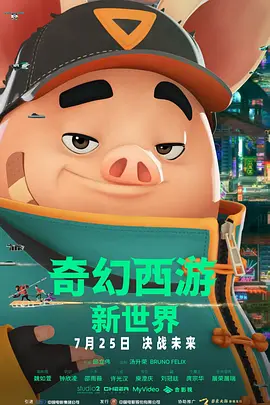 国产v片
