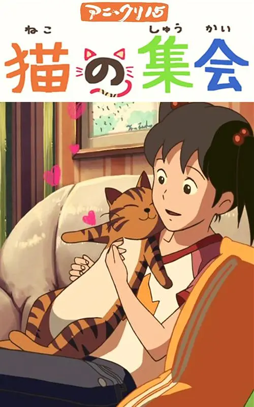 教练的痴迷