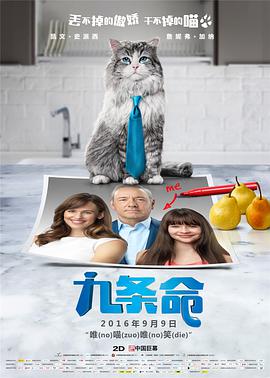 谍战剧《叱咤之城》在线观看